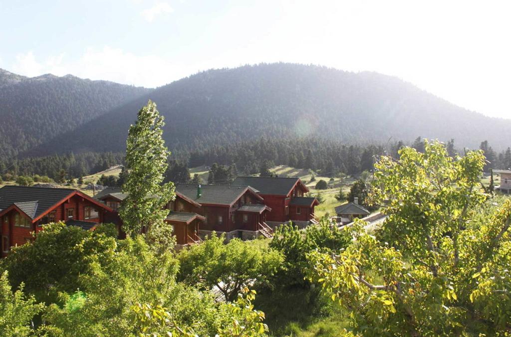 Boutique Hotel Skamnos Arachova Exteriér fotografie