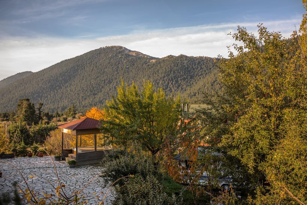 Boutique Hotel Skamnos Arachova Exteriér fotografie