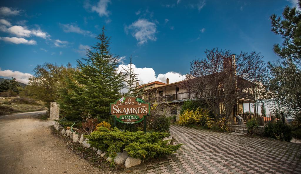 Boutique Hotel Skamnos Arachova Exteriér fotografie