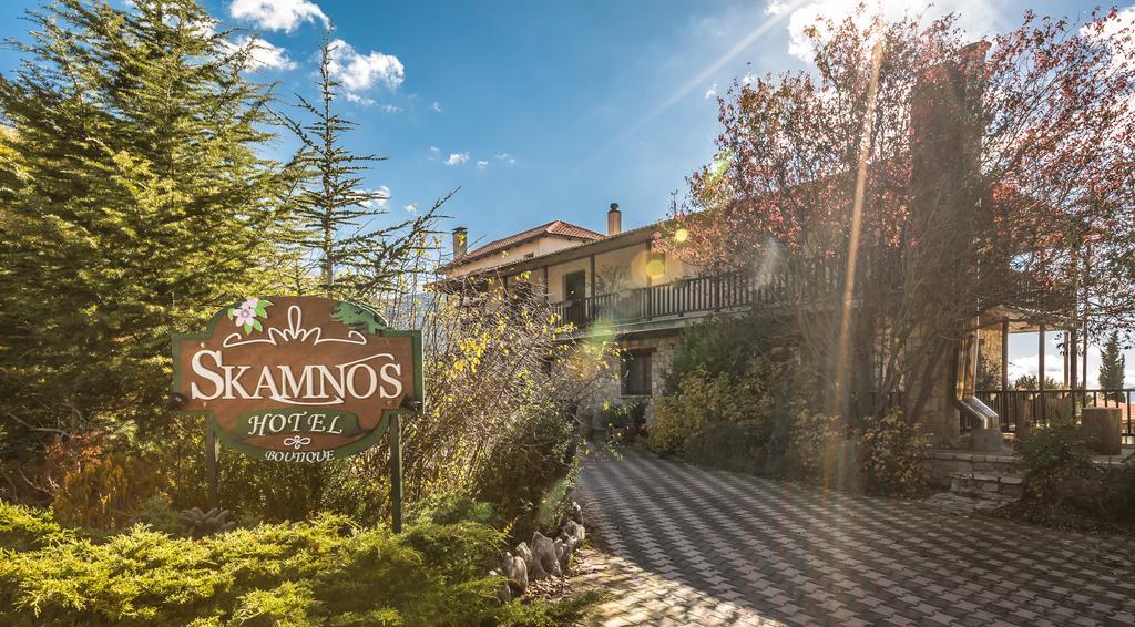 Boutique Hotel Skamnos Arachova Exteriér fotografie